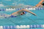 Swimming vs Bentley  Wheaton College Swimming vs Bentley. - Photo By: KEITH NORDSTROM : Wheaton, Swimming, Bentley